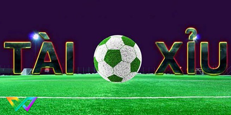 soi-cau-tai-xiu-the-nao-la-chuan