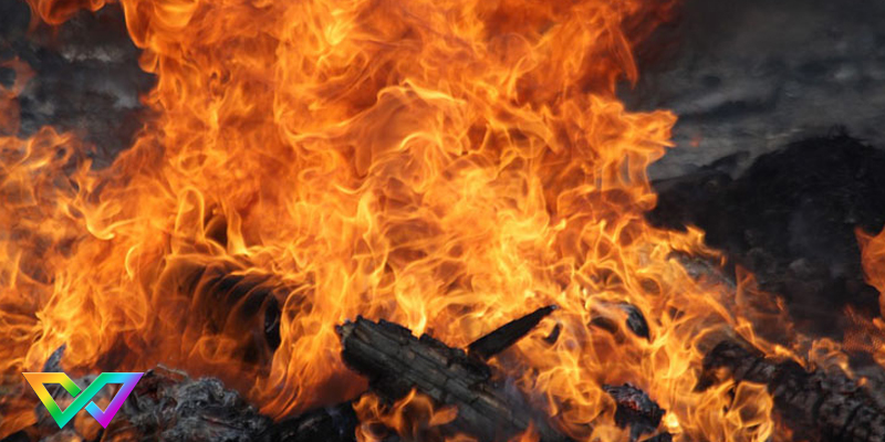 mo-thay-lua-la-diem-bao-gi-1