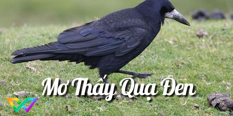 mo-thay-qua-den-la-diem-bao-gi-2