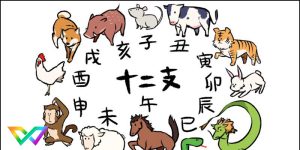 tinh-cach-12-con-giap-2